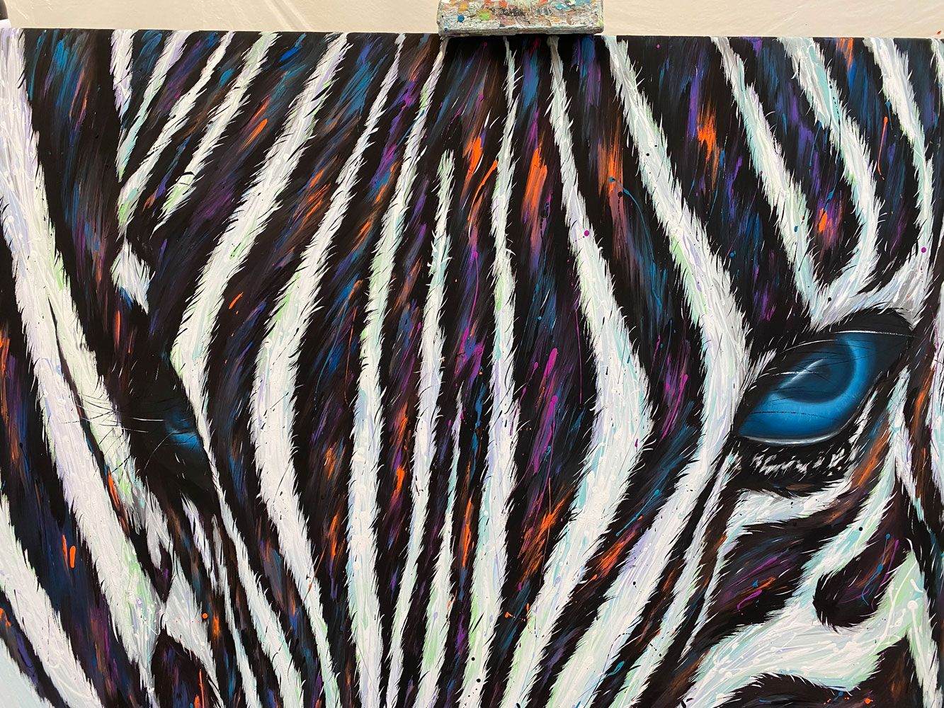 Wild Zebra Pop Color