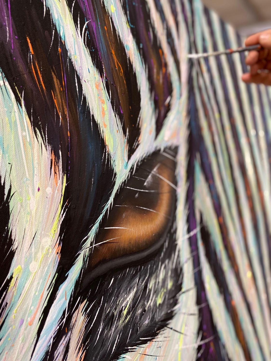 The deep gaze of the zebra