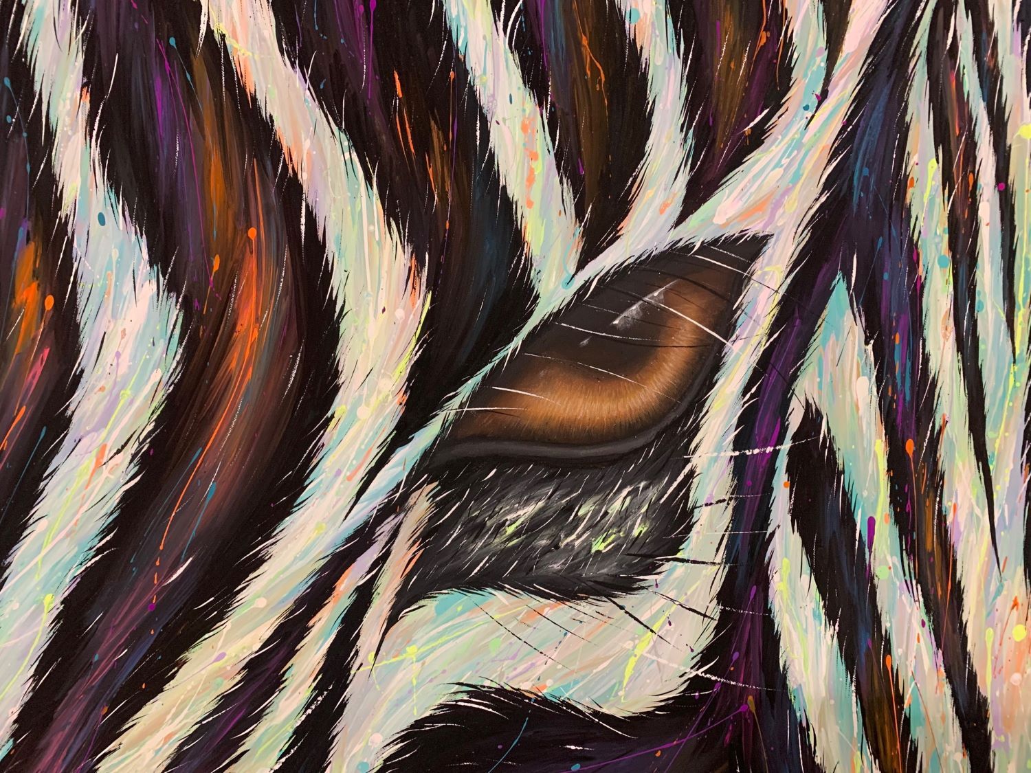 The deep gaze of the zebra