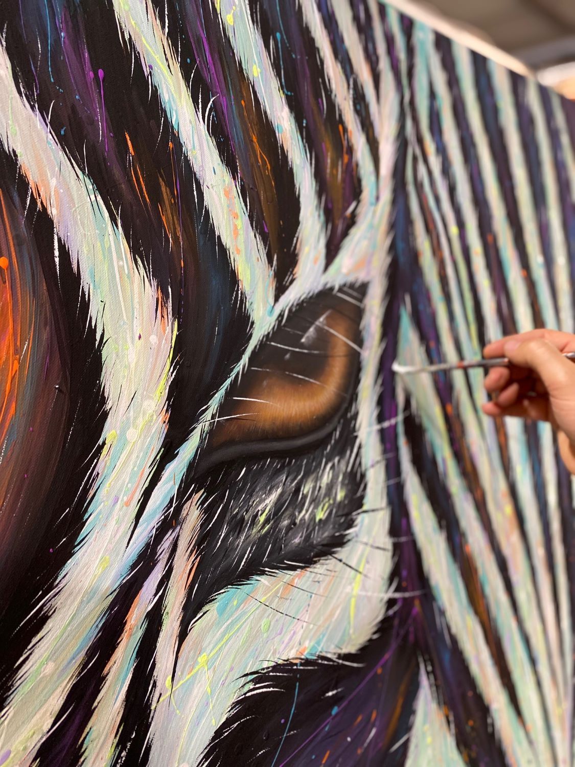 The deep gaze of the zebra