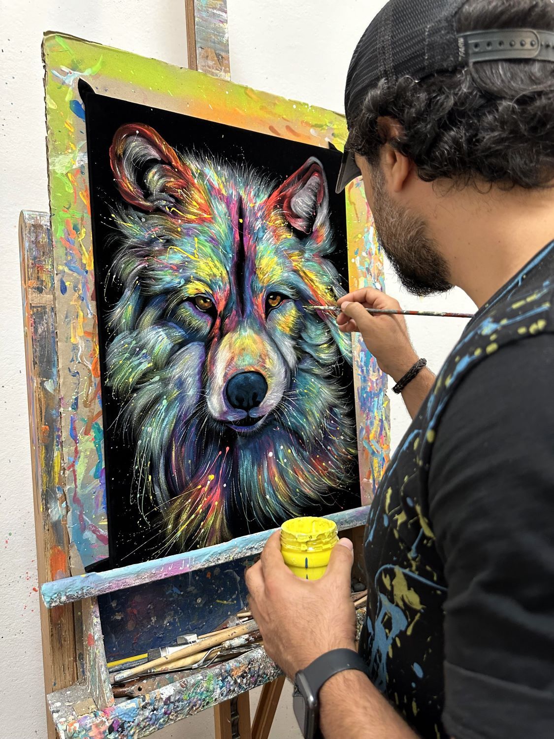 Lupo Pop Color