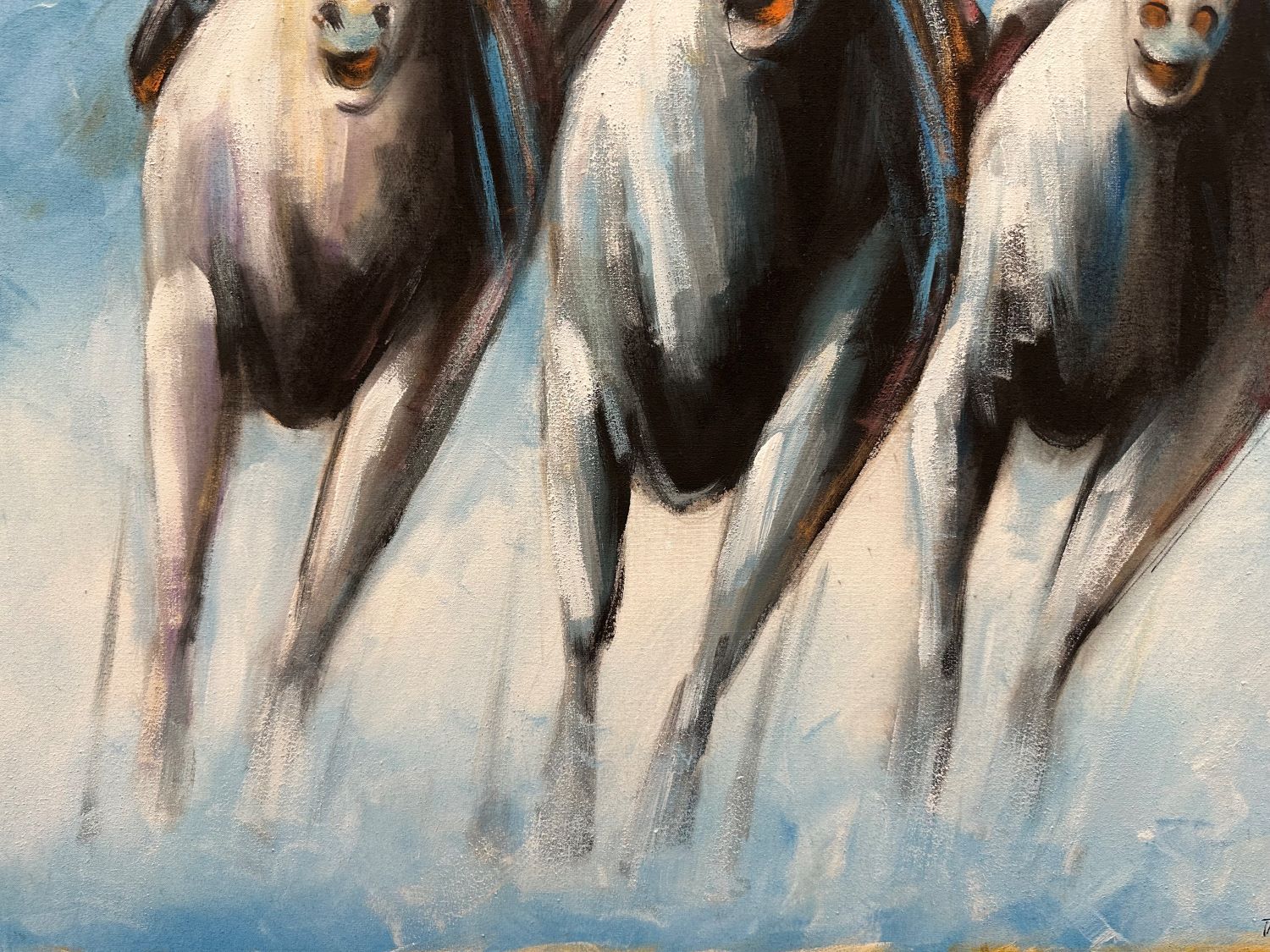 Horses in the race