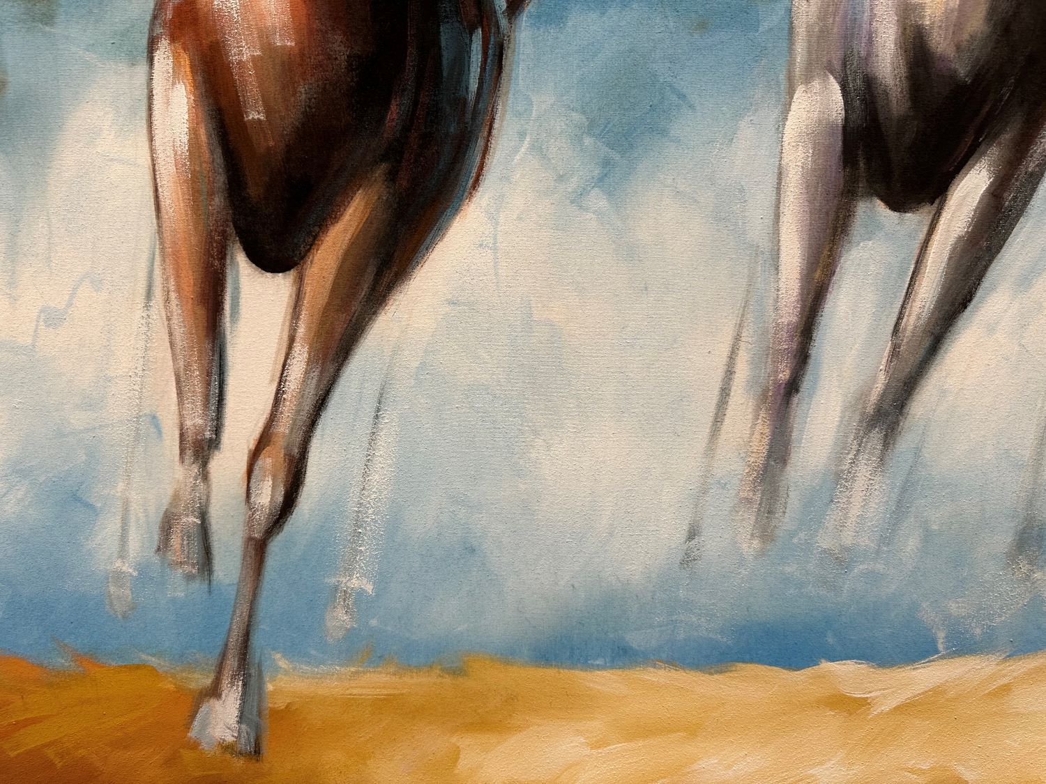 Horses in the race