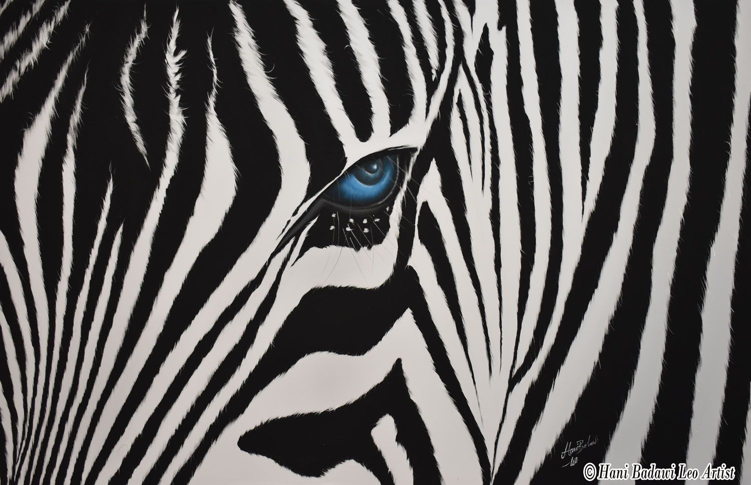 The look of zebra