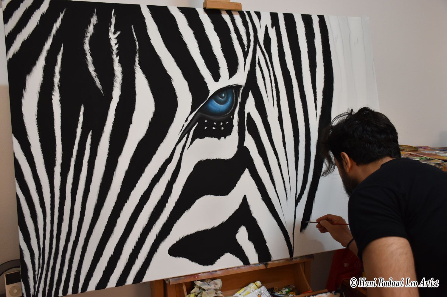 The look of zebra