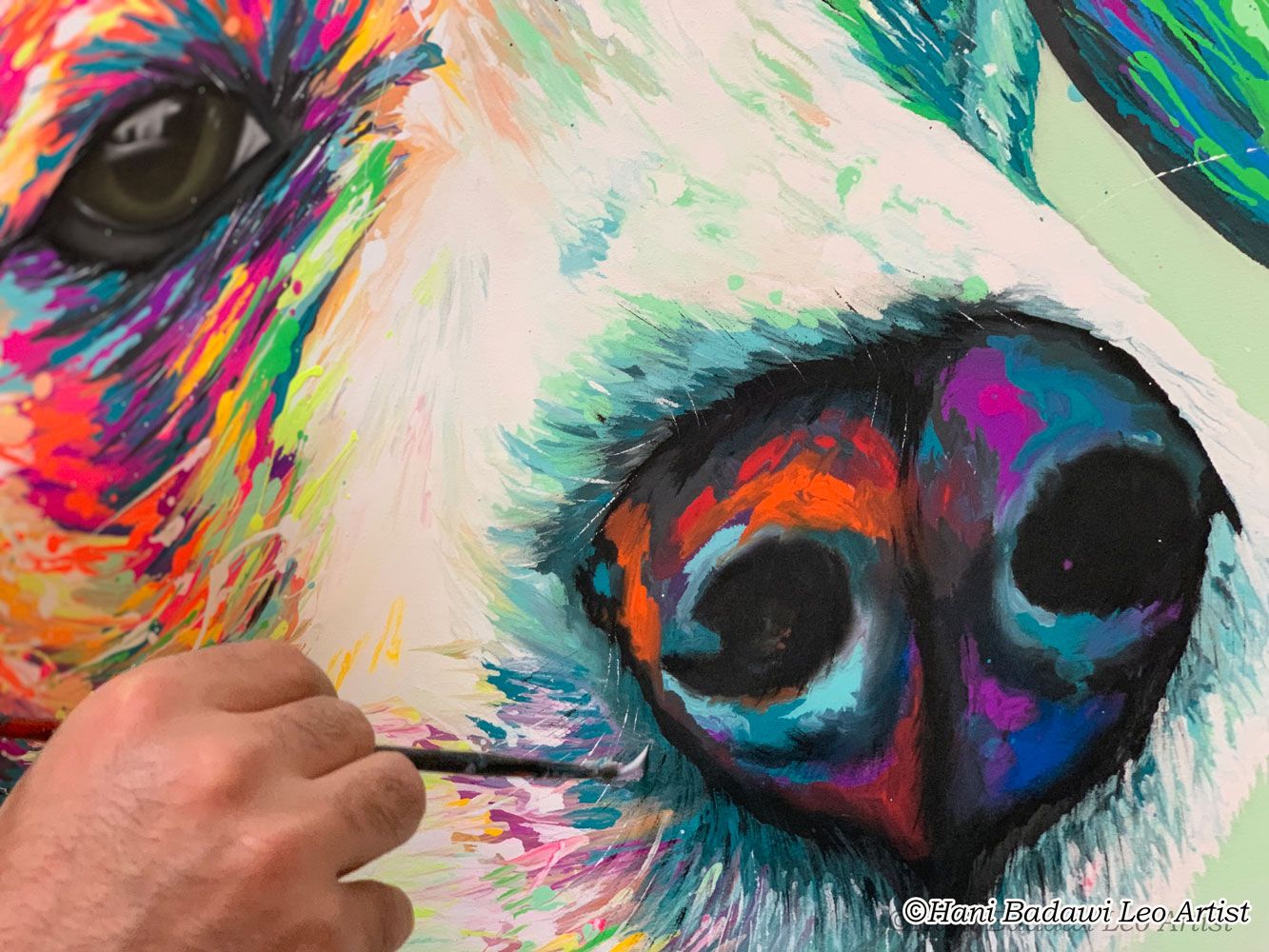 Pop color Animal portraits