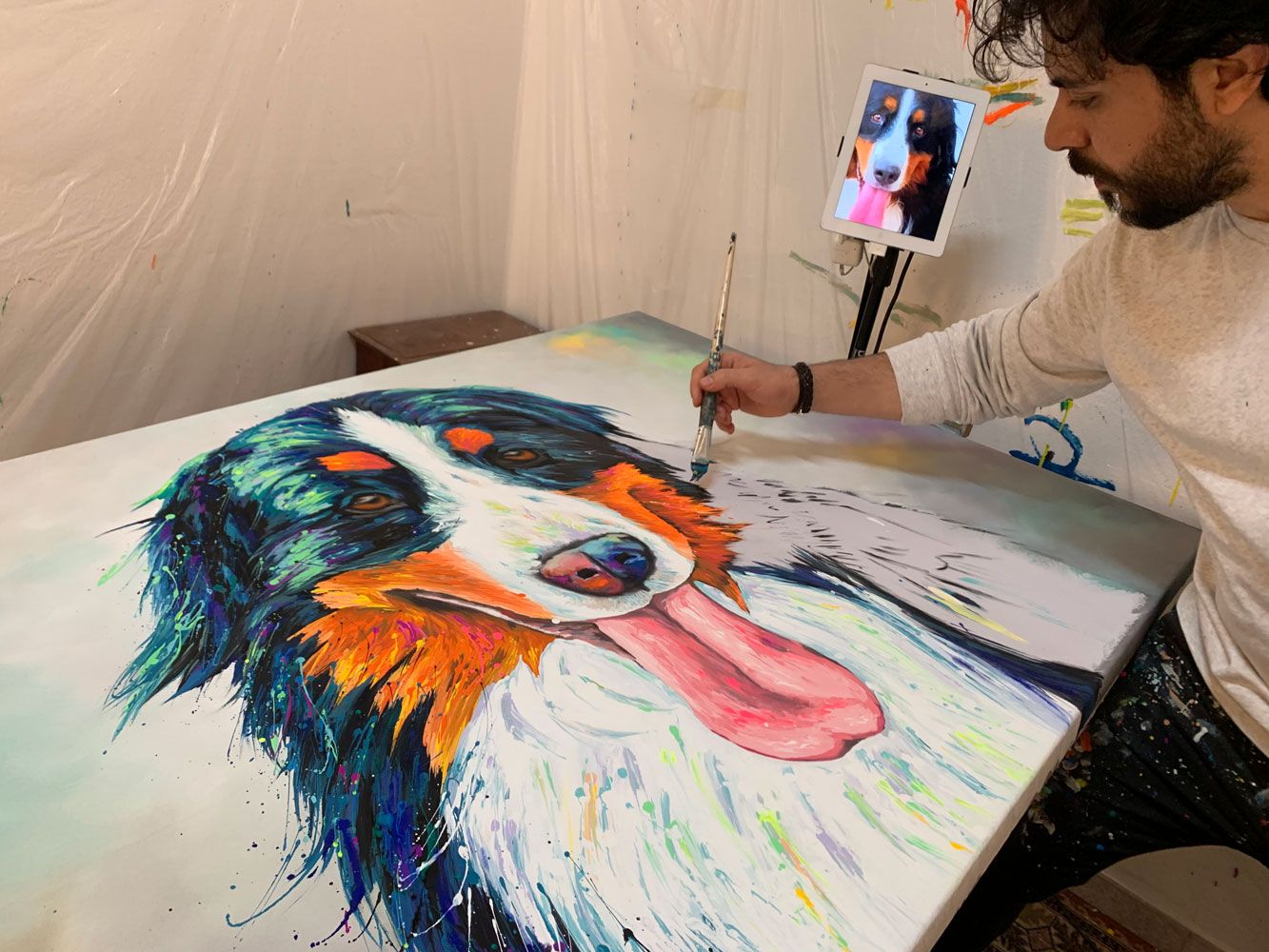 Ritratti animali pop color Bovaro del Bernese - Watson