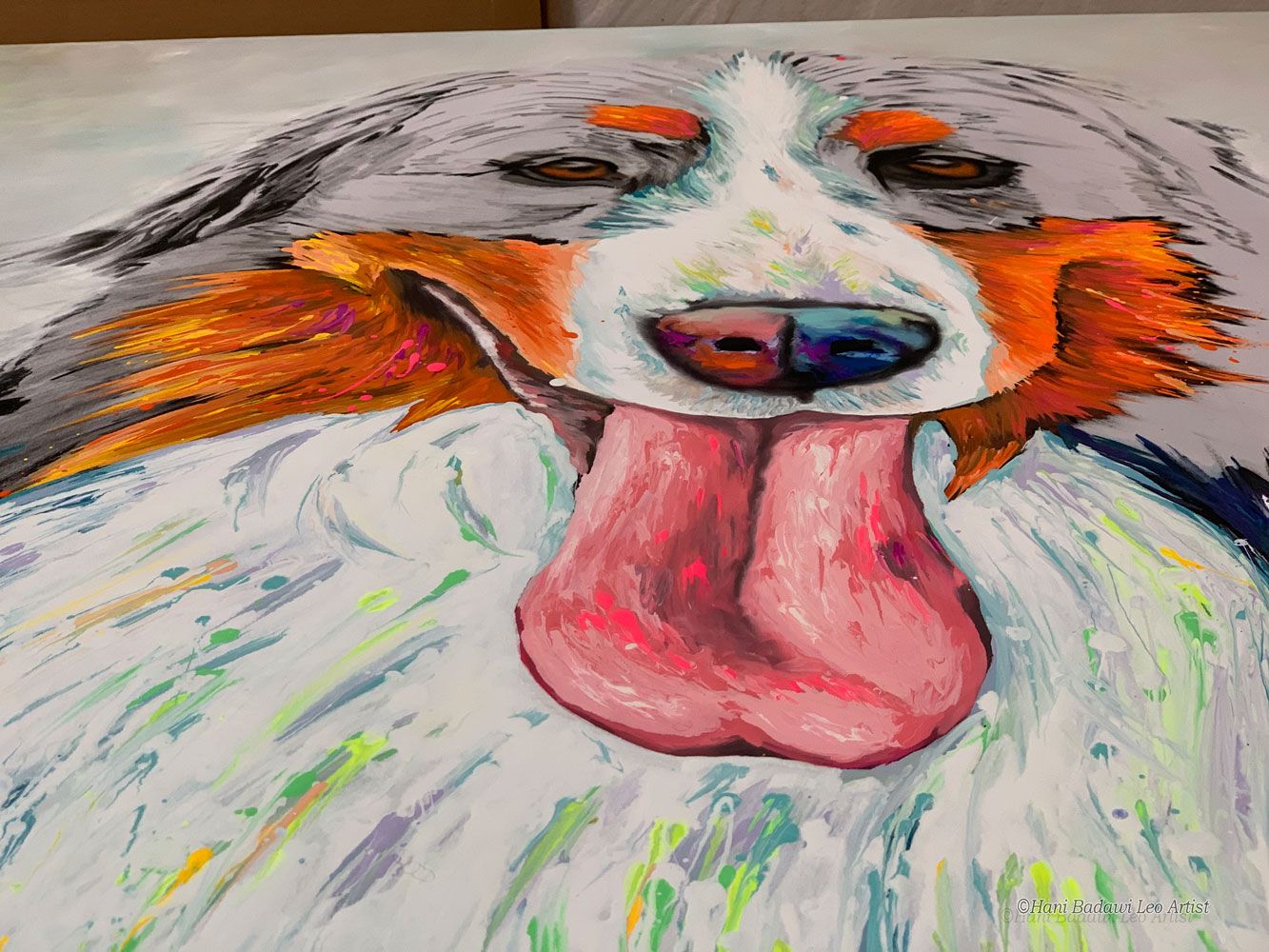Ritratti animali pop color Bovaro del Bernese - Watson