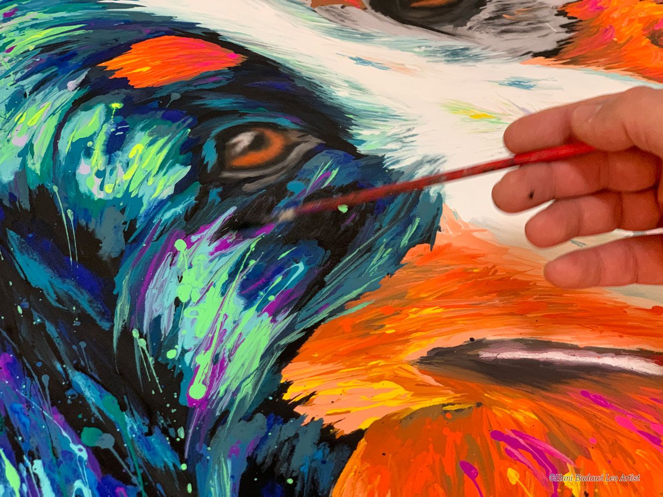 Ritratti animali pop color Bovaro del Bernese - Watson