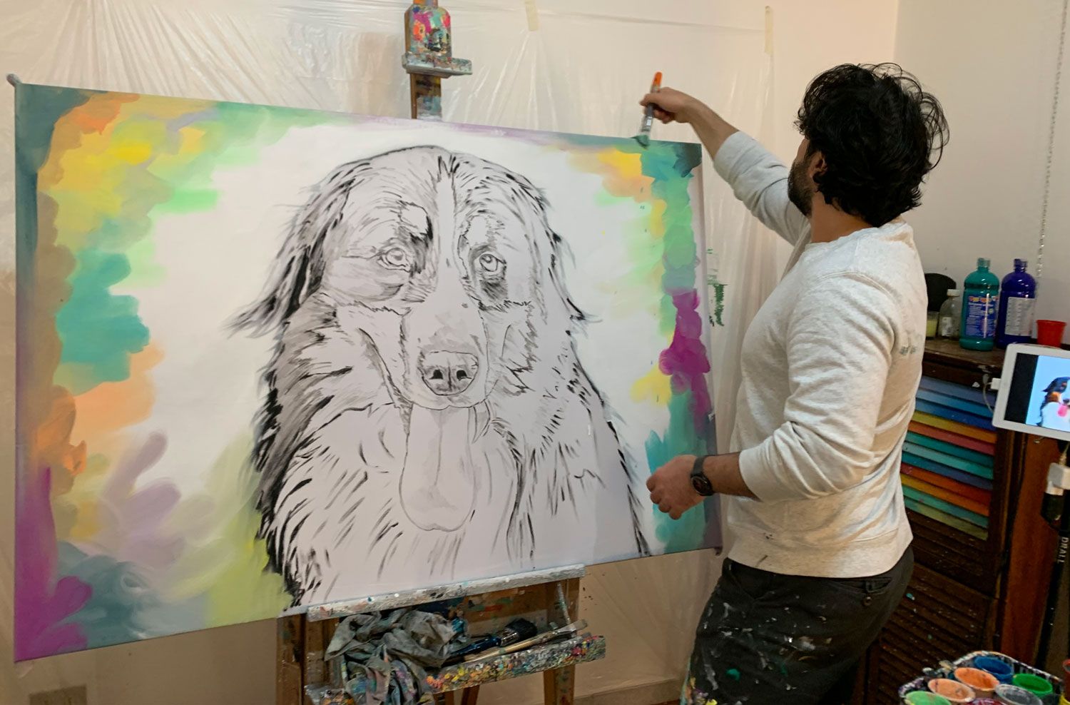 Ritratti animali pop color Bovaro del Bernese - Watson